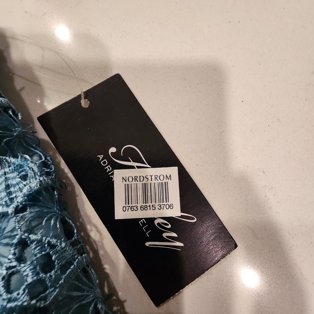 Adrianna Papell Blue Lace Mini Dress - Picture 13 of 14